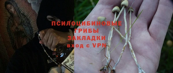 винт Алексин