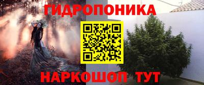 jwh Партизанск