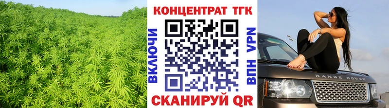 Дистиллят ТГК THC oil Сунжа